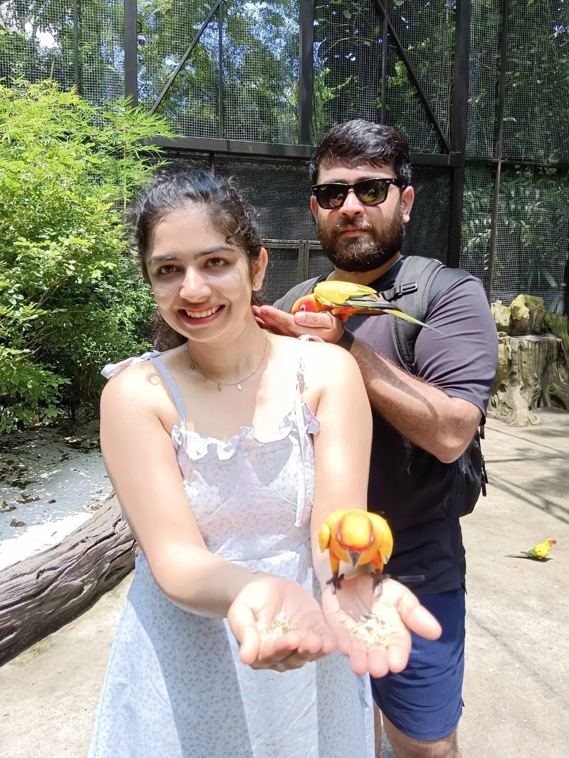 Guests at Safari World — a trip with OneDD Tour by KrishHoliday
