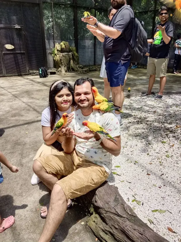 Feeding the animals at Safari World — a trip with OneDD Tour