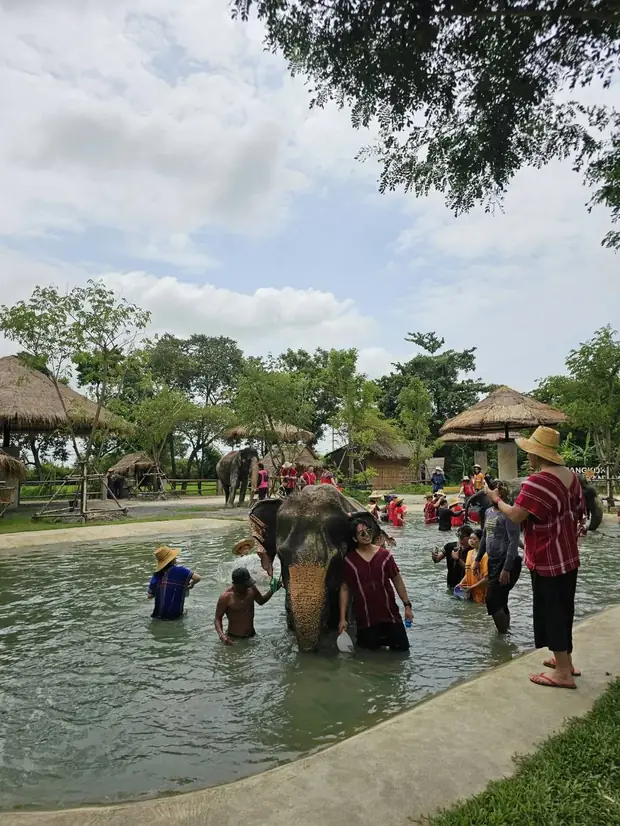 Elephant bathing experience — a trip with OneDD Tour