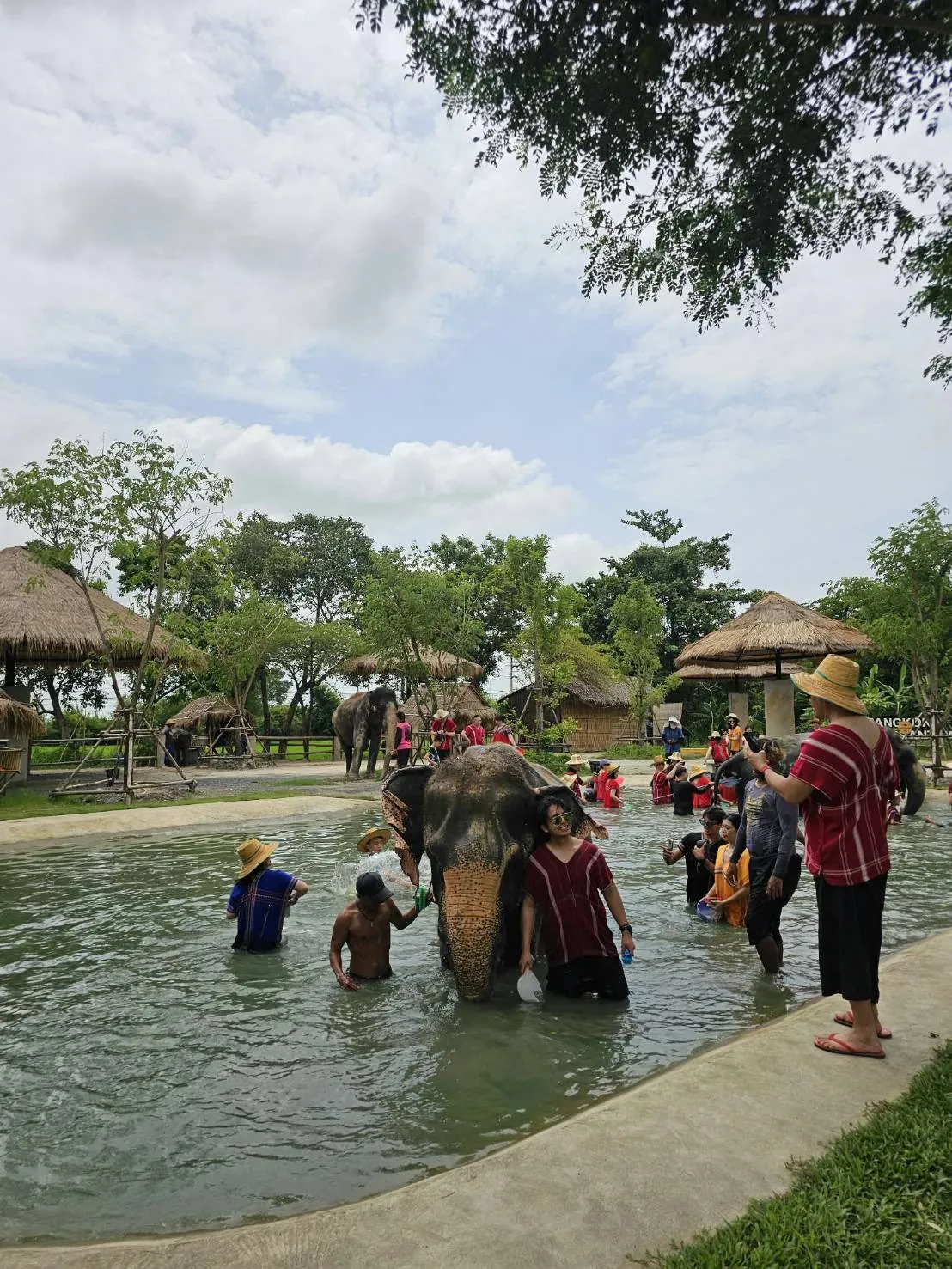 Elephant bathing experience — a trip with OneDD Tour by KrishHoliday