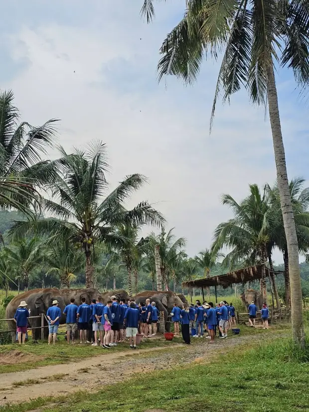 A group visit to the elephant camp — a trip with OneDD Tour