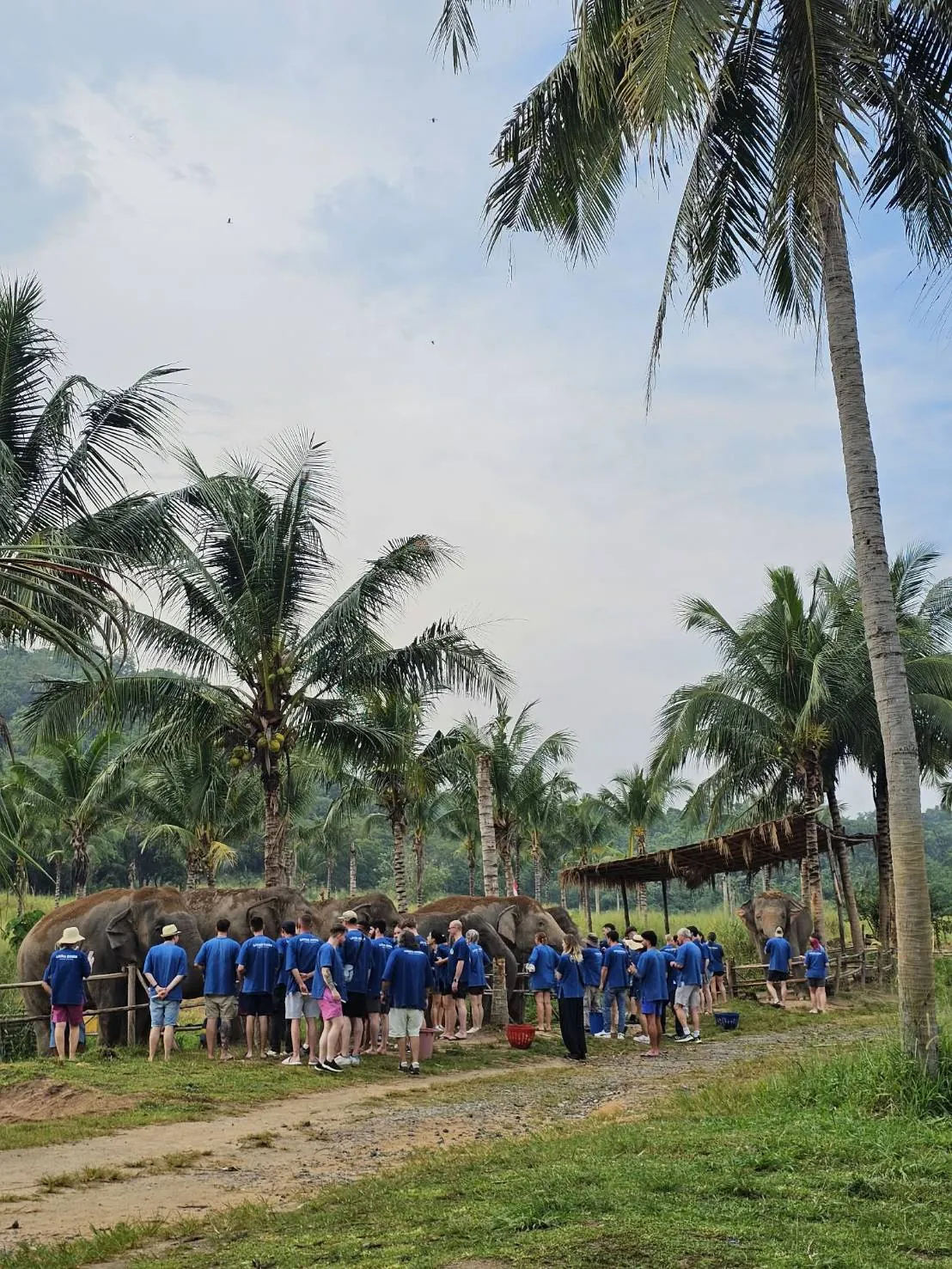 A group visit to the elephant camp — a trip with OneDD Tour by KrishHoliday