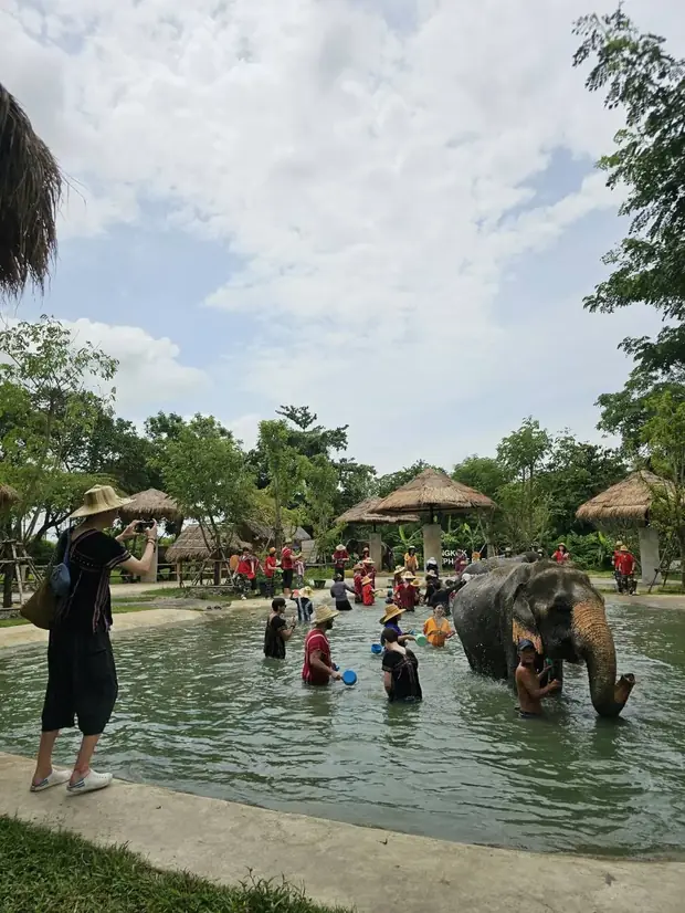 Bathing elephants at Chang Phueak Camp — a trip with OneDD Tour