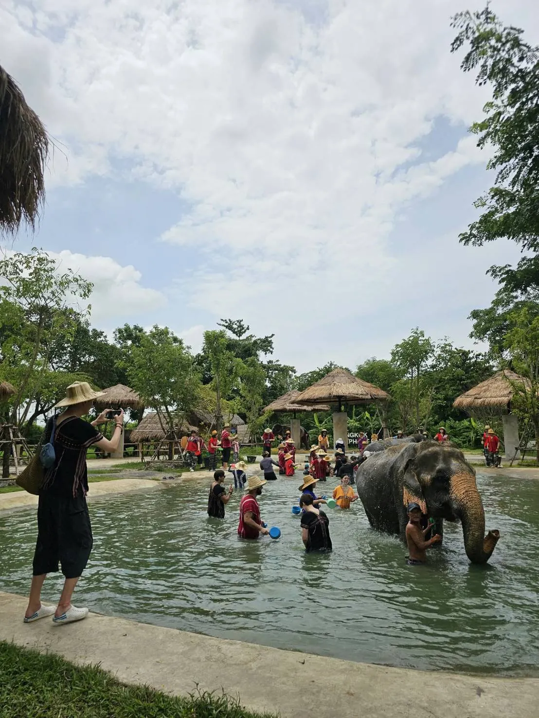 Bathing elephants at Chang Phueak Camp — a trip with OneDD Tour by KrishHoliday