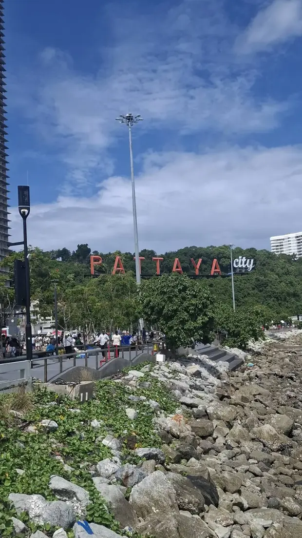 Pattaya viewpoint — a trip with OneDD Tour