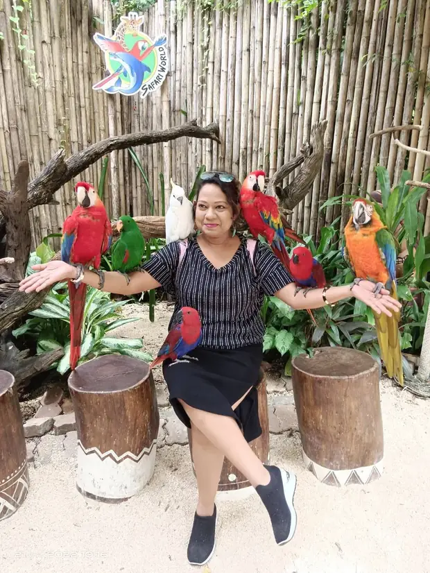 Macaws at Safari World — a trip with OneDD Tour