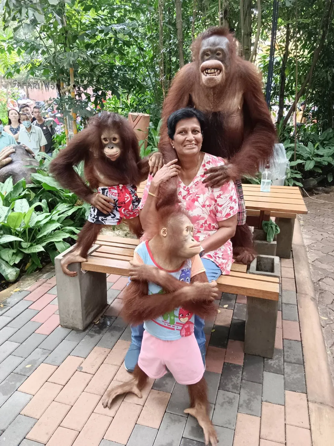 Meeting the orangutans at Safari World — a trip with OneDD Tour by KrishHoliday