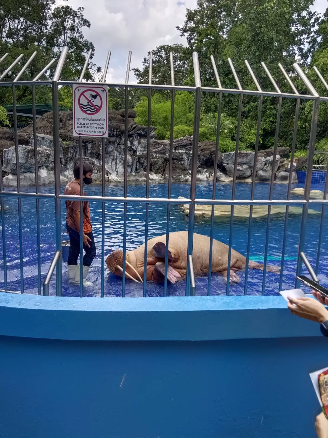 Sea lion show at Marine Park — a trip with OneDD Tour by KrishHoliday