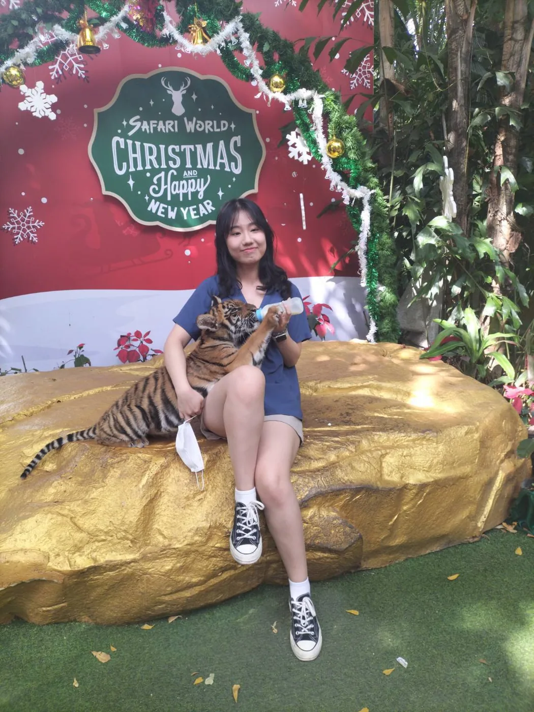 Meeting a tiger at Safari World — a trip with OneDD Tour by KrishHoliday