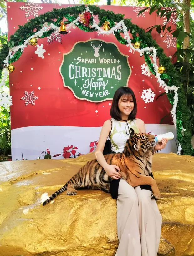 A tiger photo at Safari World — a trip with OneDD Tour